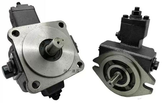 Taiwan CML Low Pressure Variable Vane Pump VCM-SF-12B-10 VCM-SF-12C-10