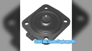 GEMU MG8 MG10 MG25 MG40 MG50 MG65 MG80 MG100 EPDM FDA Membraansets voor GEMU membraankleppen